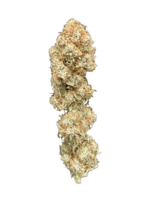 SAPPHYR KUSH 2 G INDOOR (à partir de 5,40€/gr)