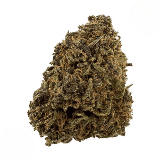 SAPPHIR 10 G SMALL BUDS