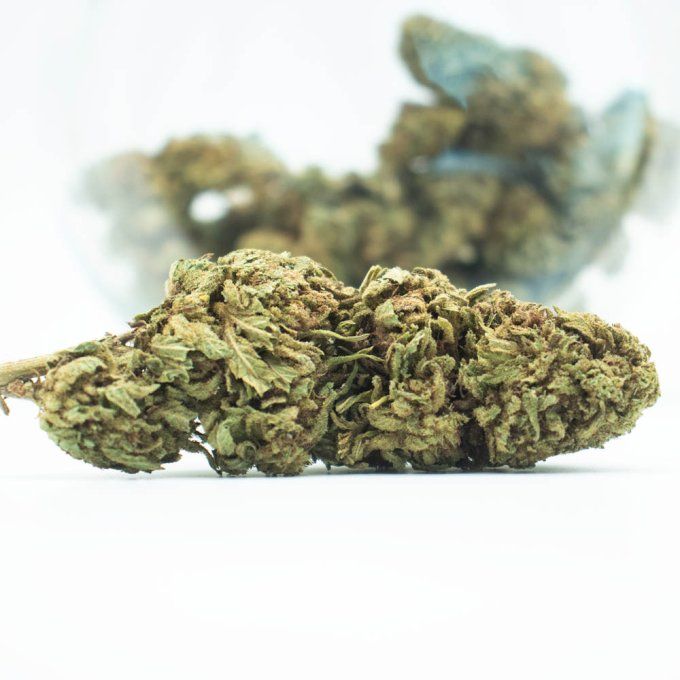 OG KUSH 10 G SMALL BUDS
