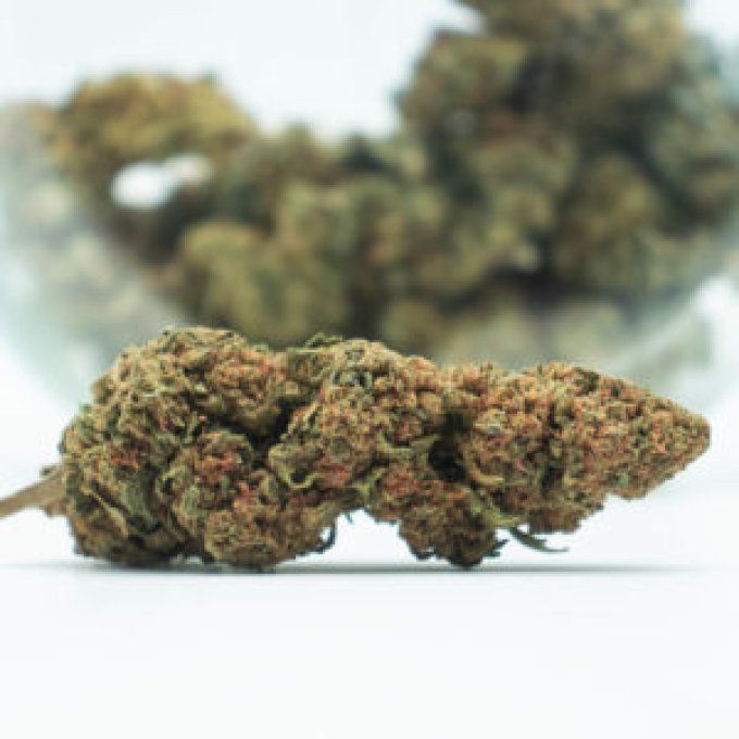 STRAWBERRY 10 G SMALL BUDS