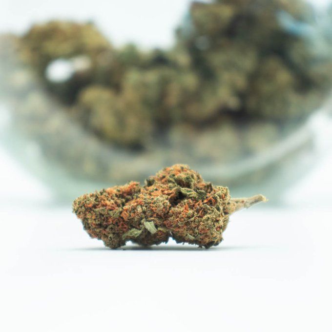 STRAWBERRY 10 G SMALL BUDS