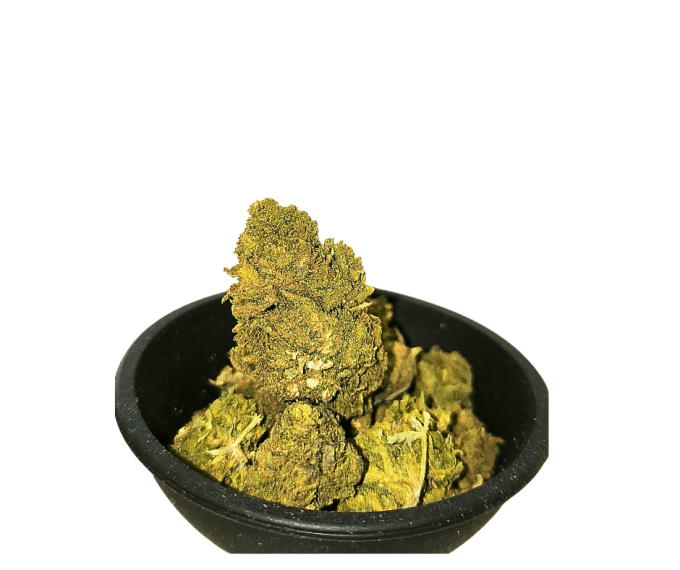 GELATO 10 G SMALLS BUDS