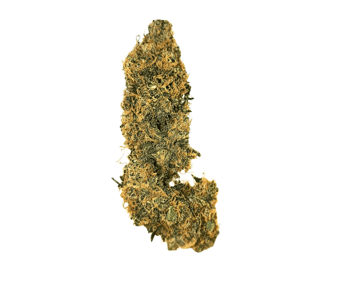 NEW AMSTERDAM 2 G INDOOR (à partir de 5,40€/gr)