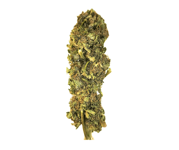 STRAWBERRY DONUTS OUTDOOR (à partir de 3,90€/gr)