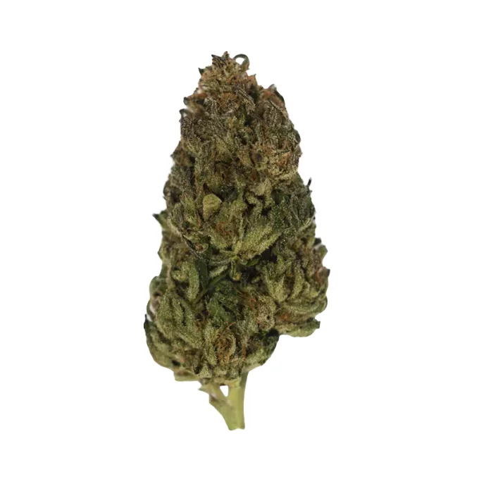 SHIVA'S NECTAR 2 G GREENHOUSE (à partir de 4,32€/gr)
