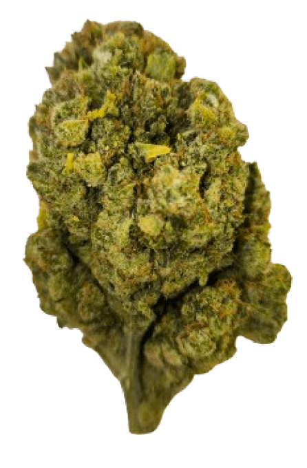 SUPER LEMON HAZE 2G INDOOR (à partir de 5,40€/gr)